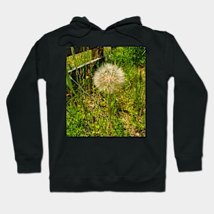 Snowball Puff Flower Hoodie